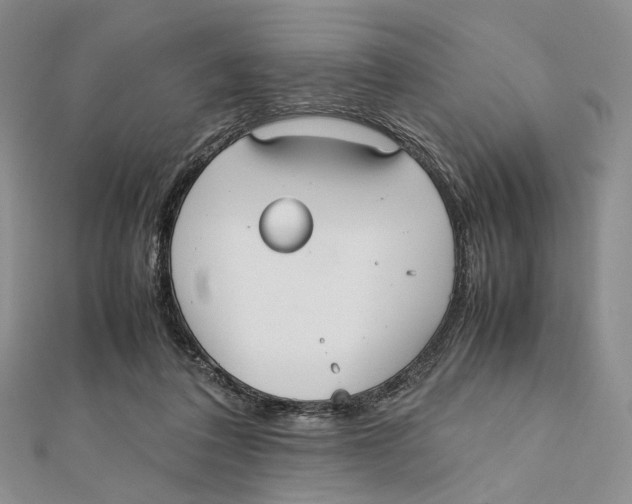 X0000112050308200909010947