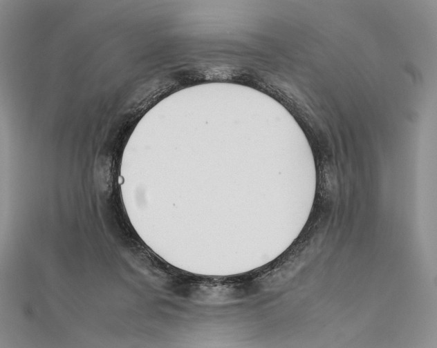 X0000112050311200909010947