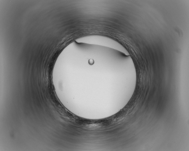 X0000112050312200909010947