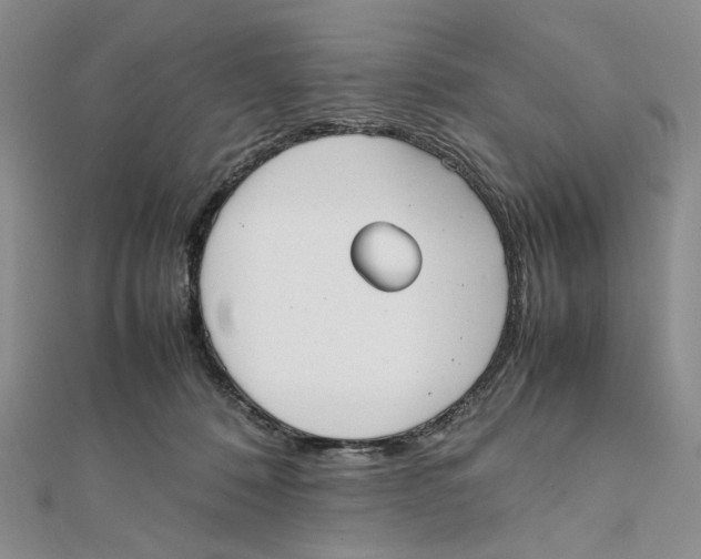 X0000112050320200909010947