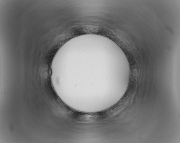 X0000112050323200909010947