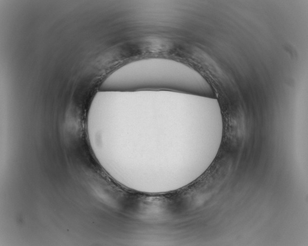 X0000112050324200909010947