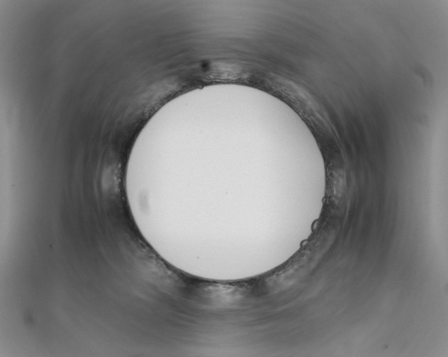 X0000112050326200909010947