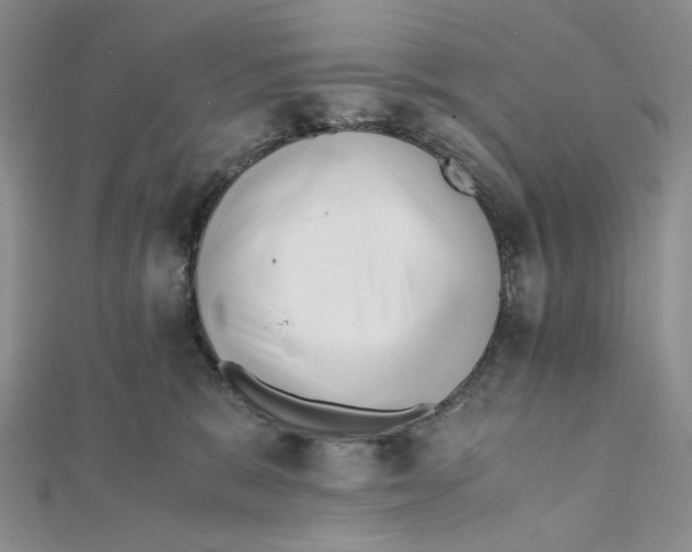 X0000112050327200909010947