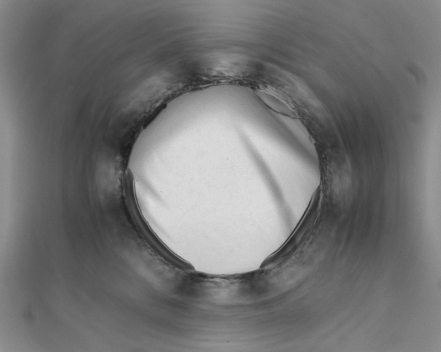 X0000112050328200909010947