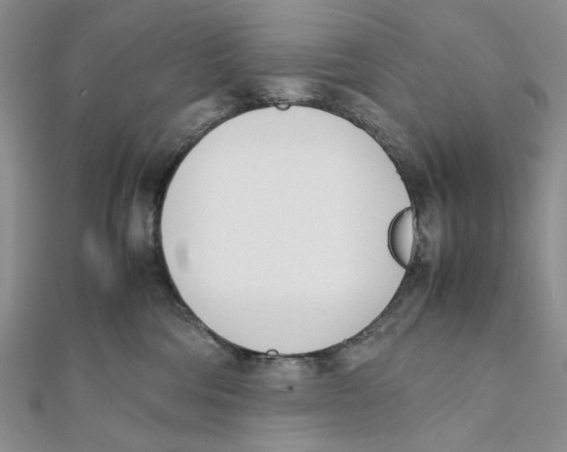 X0000112050330200909010947
