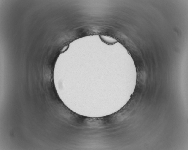 X0000112050331200909010947
