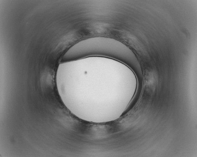X0000112050332200909010947