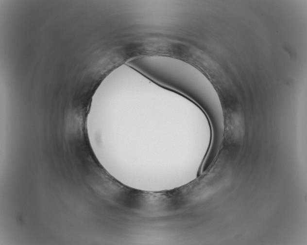 X0000112050333200909010947