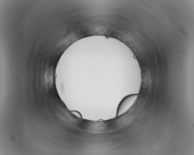 X0000112050334200909010947