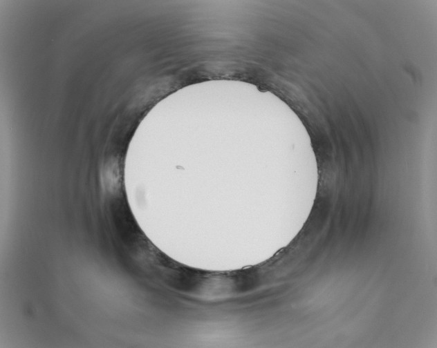 X0000112050335200909010947