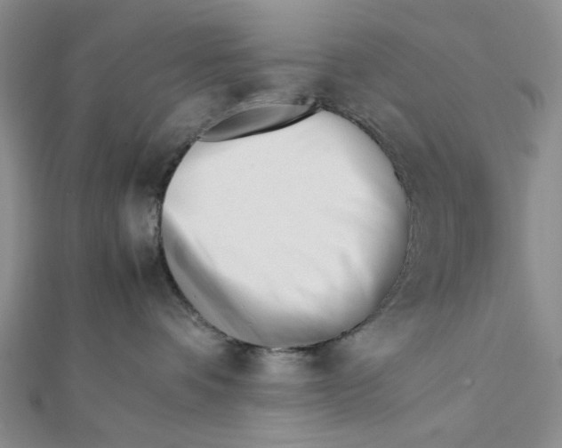 X0000112050336200909010947