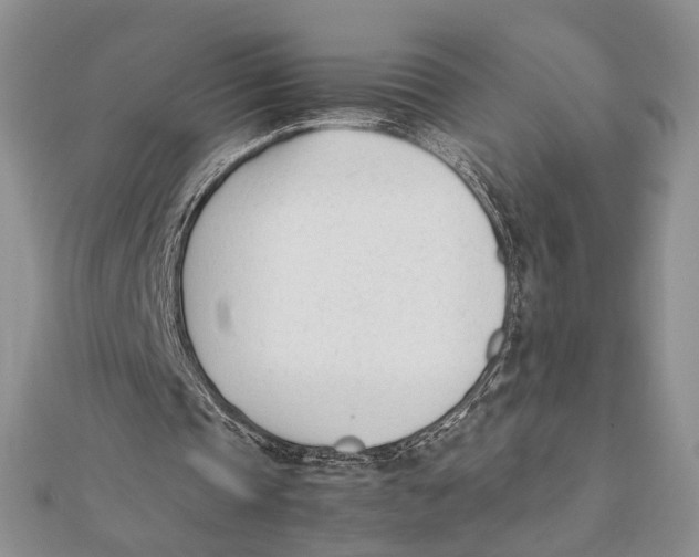 X0000112050337200909010946