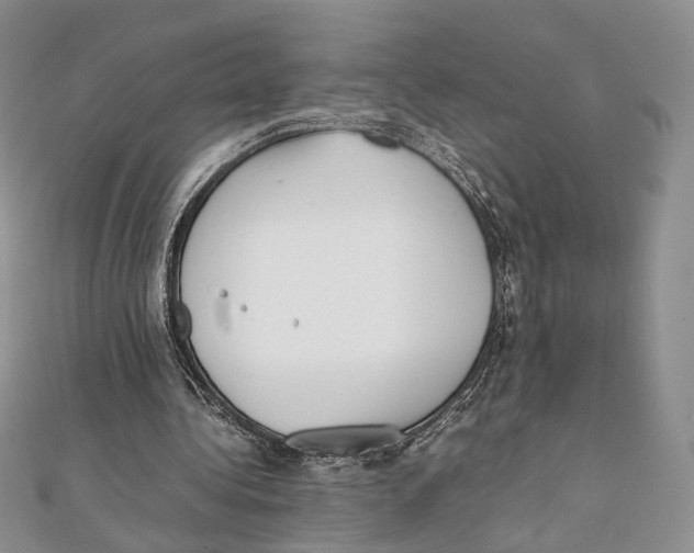 X0000112050340200909010947