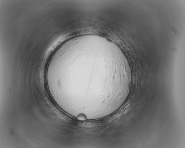 X0000112050341200909010947