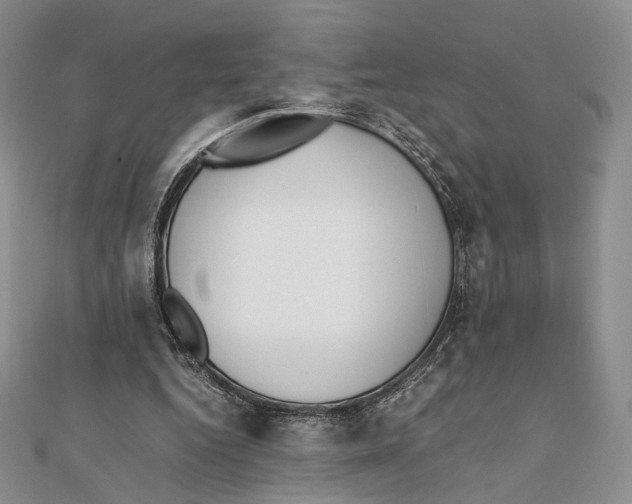 X0000112050344200909010947