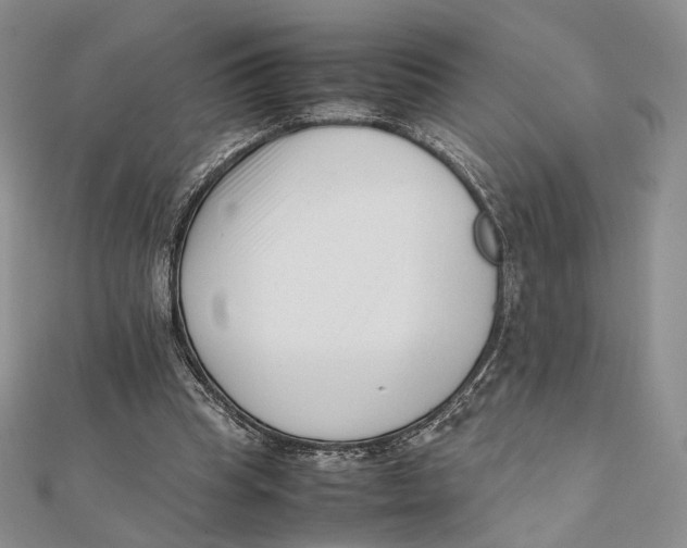 X0000112050345200909010947