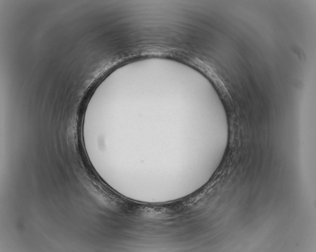 X0000112050346200909010947