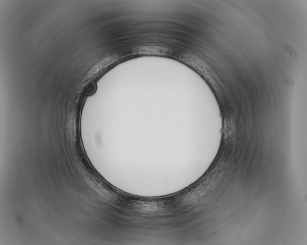 X0000112050349200909010947