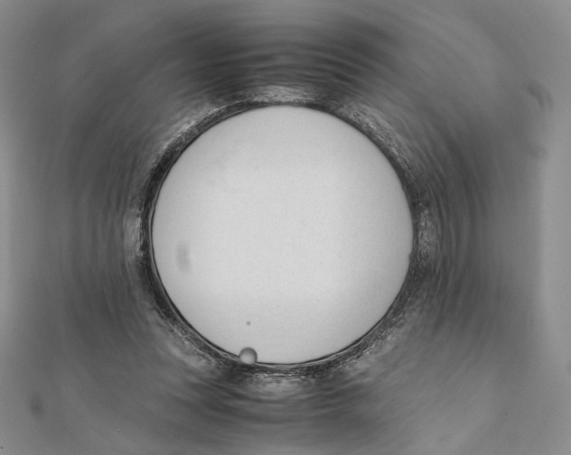 X0000112050351200909010947