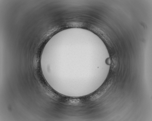X0000112050355200909010947