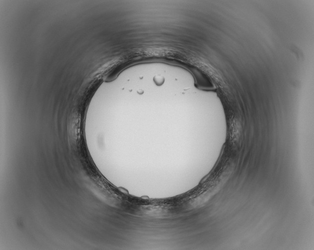 X0000112050356200909010947