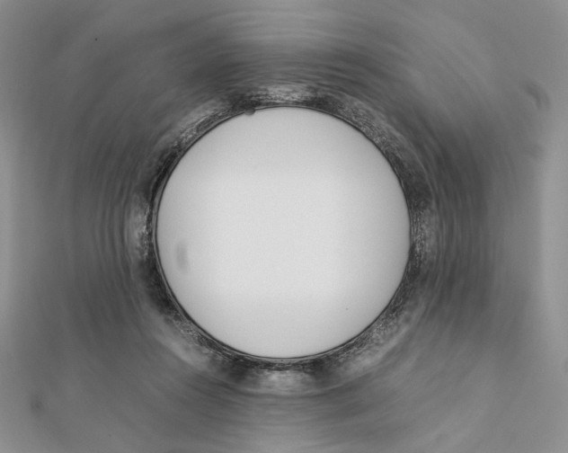 X0000112050360200909010947