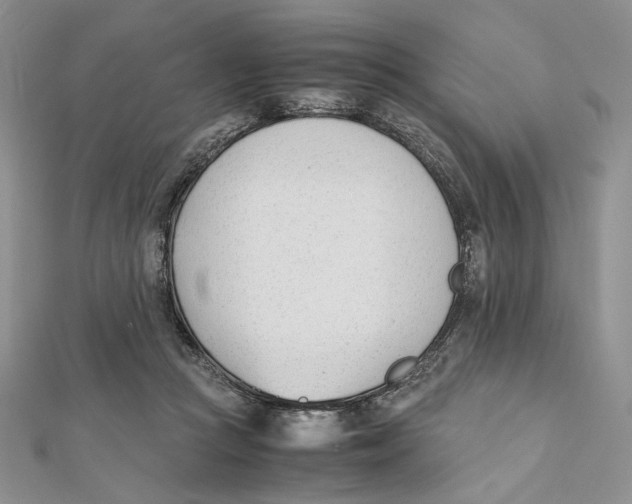 X0000112050361200909010947