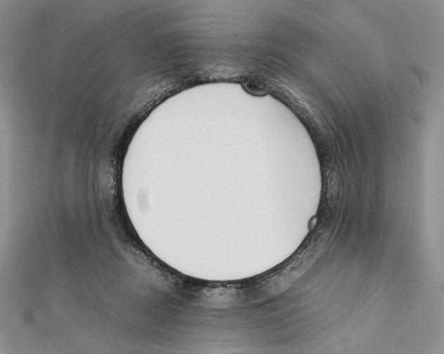 X0000112050362200909010947