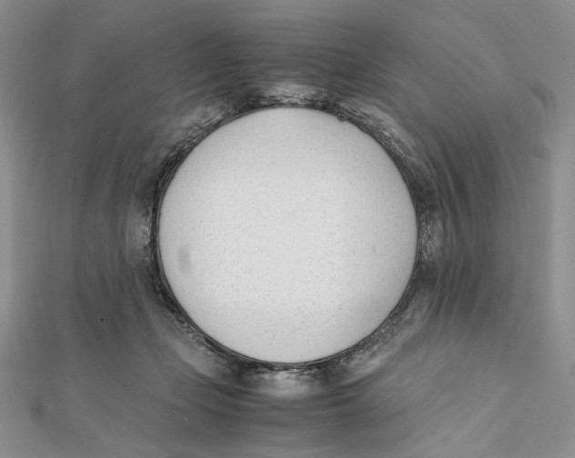 X0000112050365200909010947