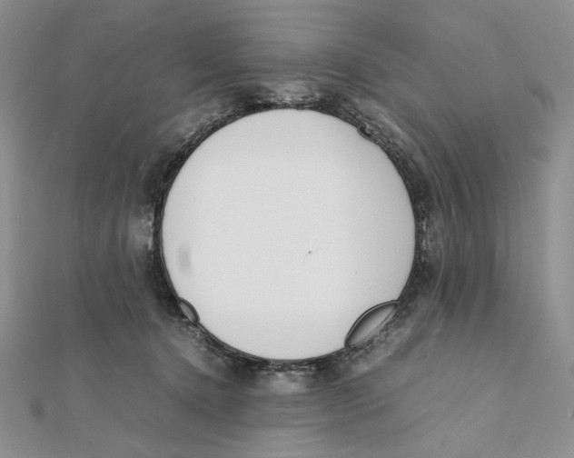 X0000112050368200909010947