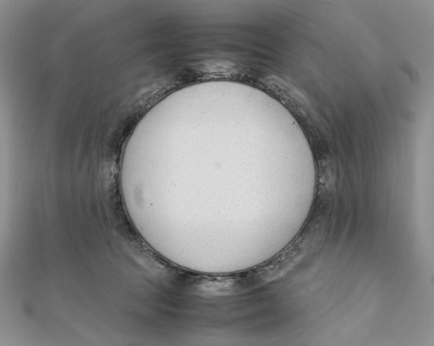 X0000112050369200909010947