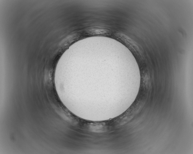 X0000112050373200909010947