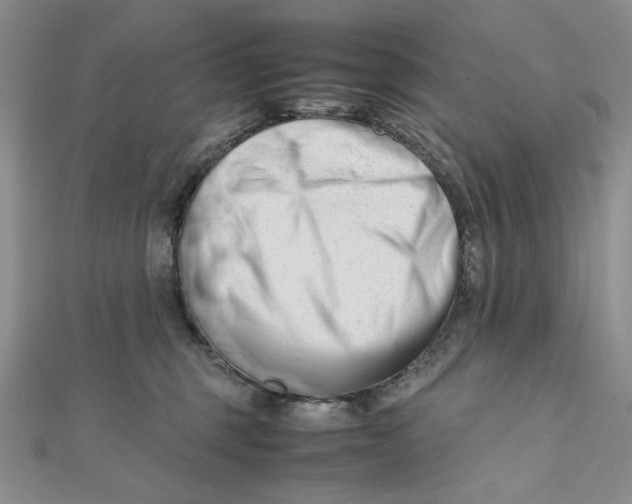 X0000112050375200909010947