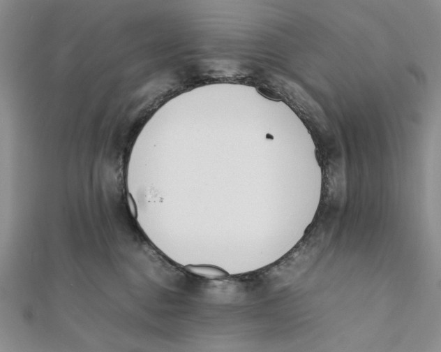 X0000112050376200909010947