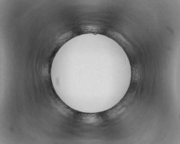 X0000112050377200909010947