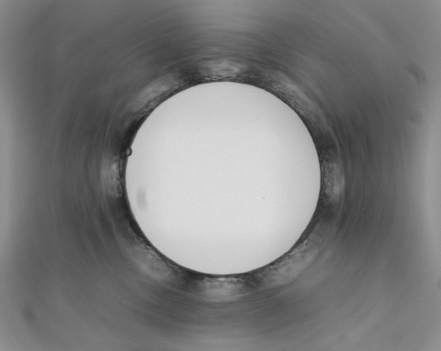 X0000112050378200909010947