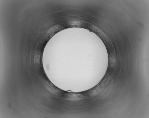 X0000112050379200909010947