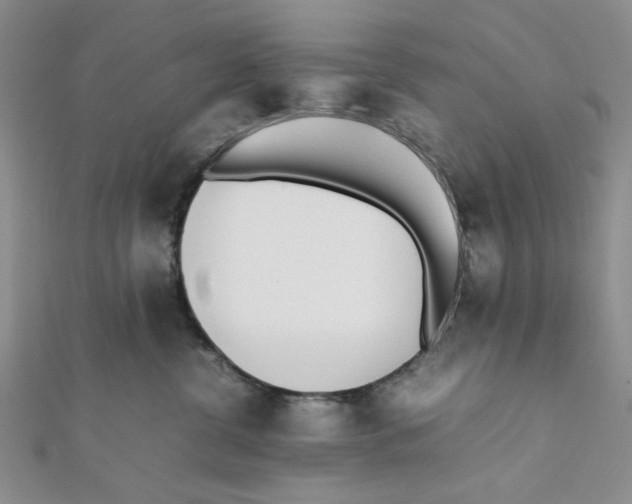 X0000112050380200909010947