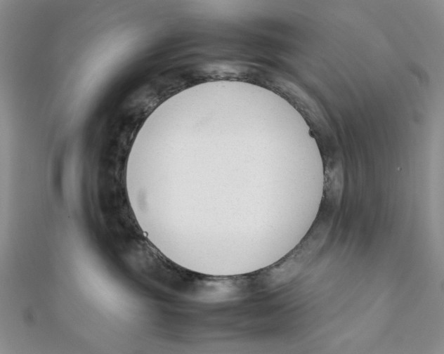 X0000112050381200909010947
