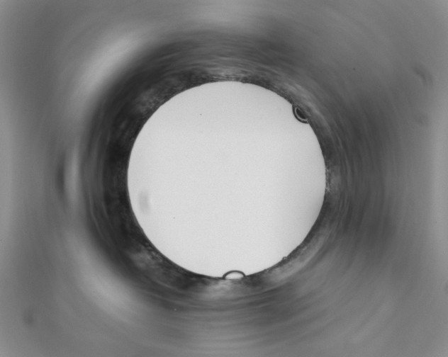 X0000112050382200909010947