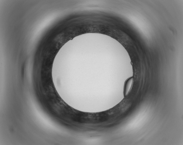 X0000112050383200909010947