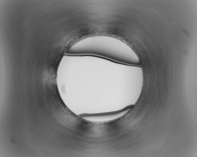 X0000112050384200909010947
