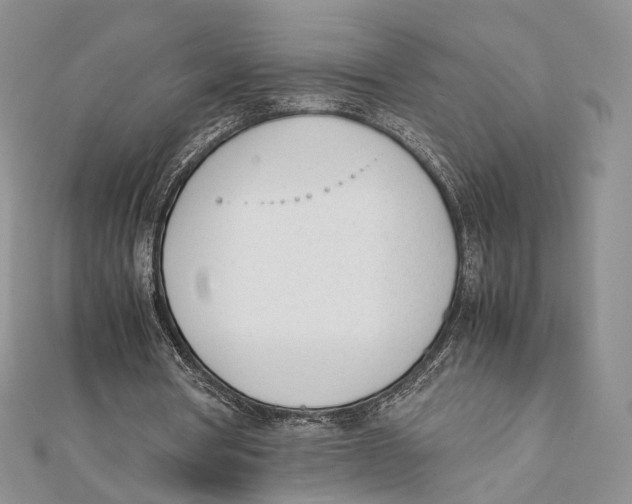 X0000112050386200909010946