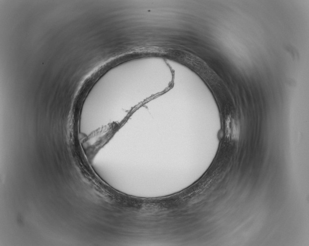X0000112050388200909010946