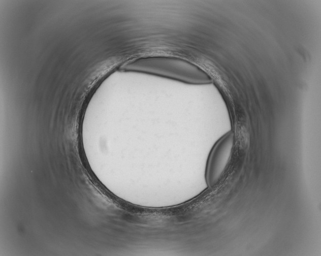 X0000112050389200909010946