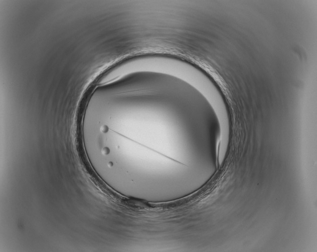X0000112050391200909010946