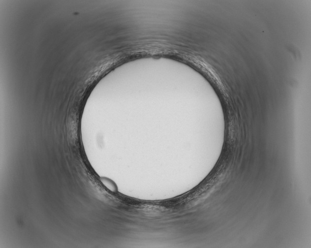 X0000112050393200909010946