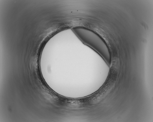 X0000112050395200909010946