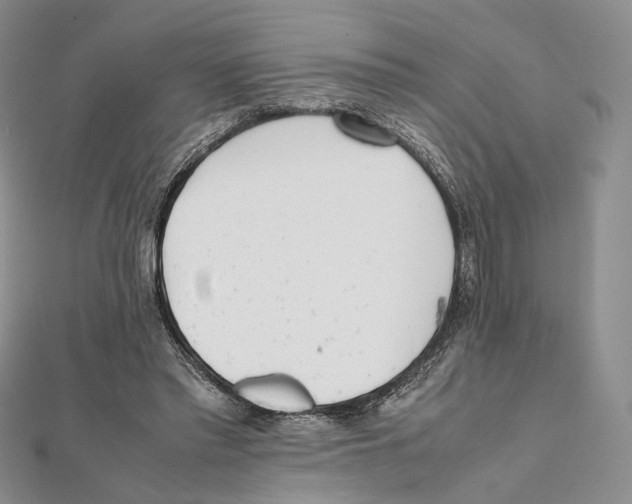 X0000112050397200909010946